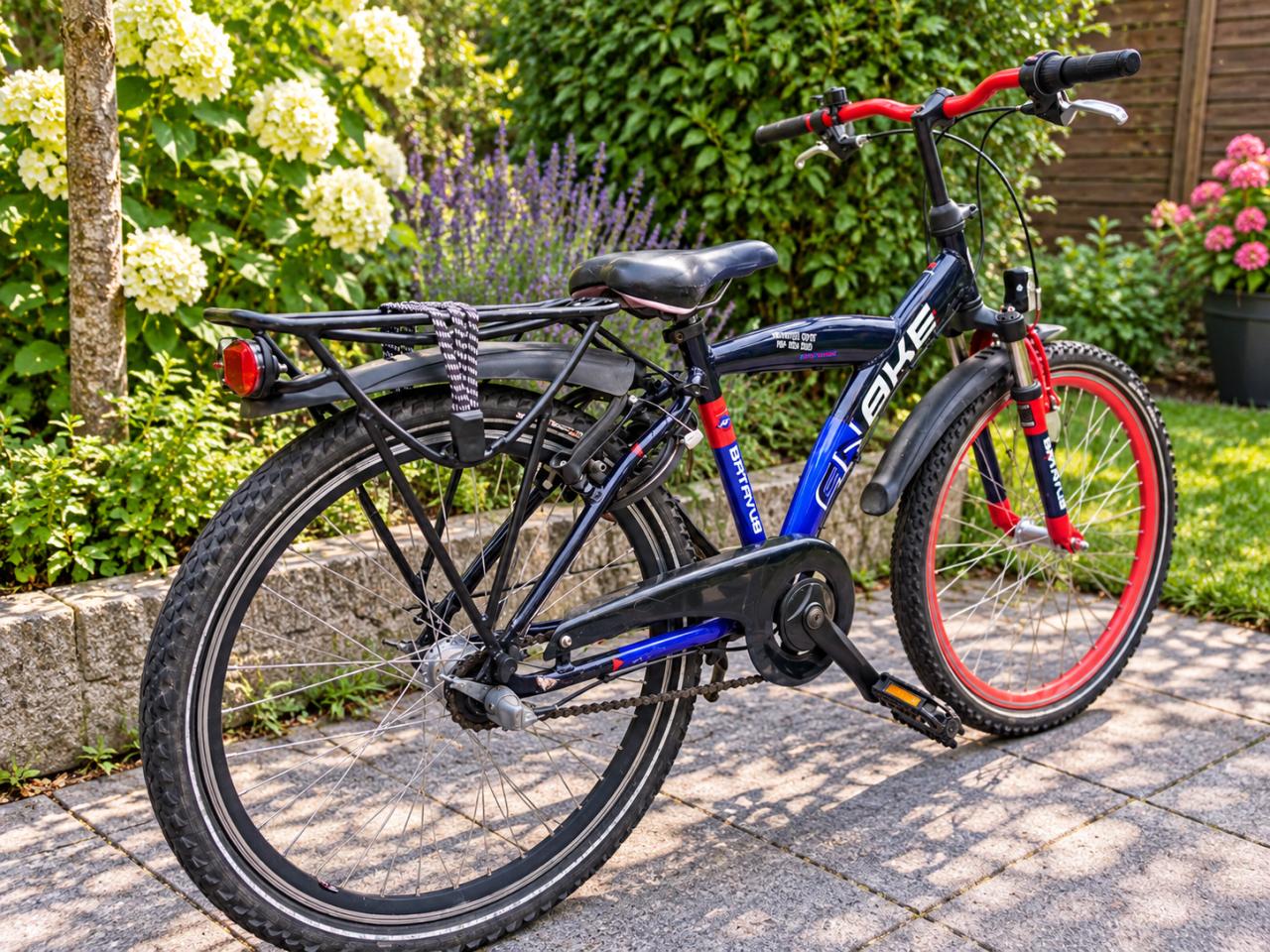 🚲 Batavus Snake 24 Inch – 3 Versnellingen – Stoere Jongensfiets!