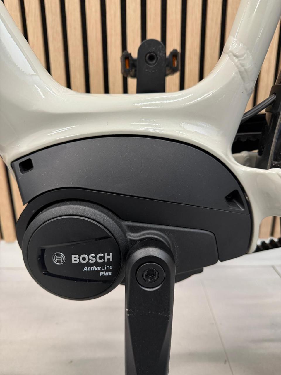 Pegasus Siena E8F Bosch Active Line Plus 306KM 55CM 400Wh Belt