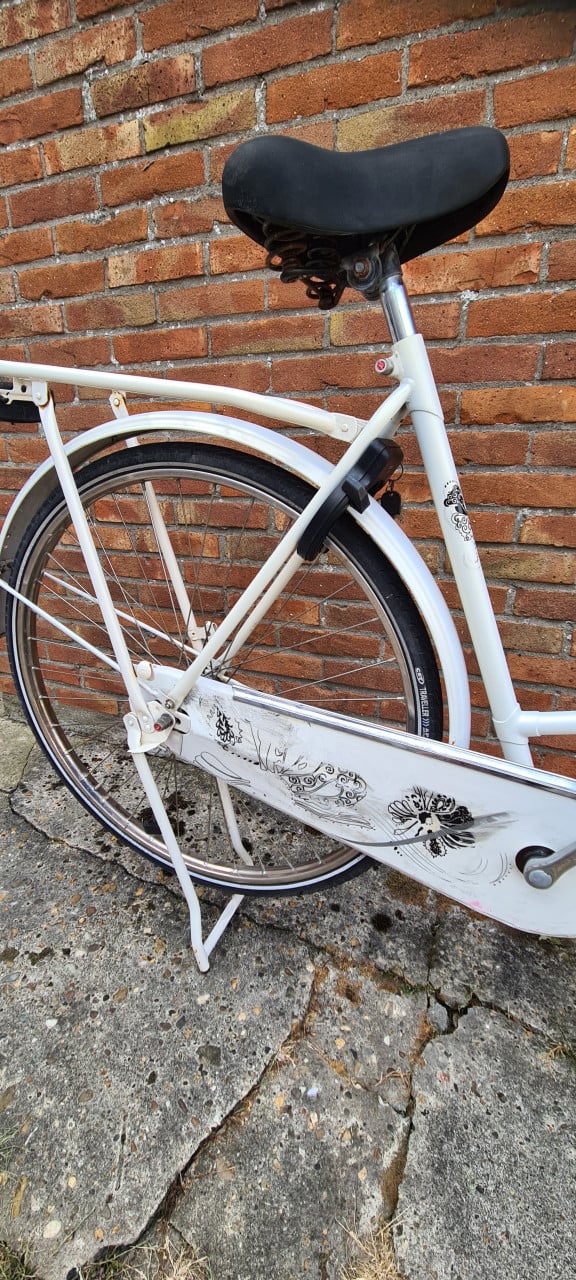 Gazelle Basic 28"