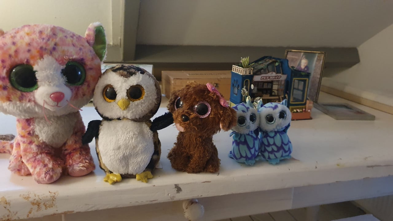Ty knuffels