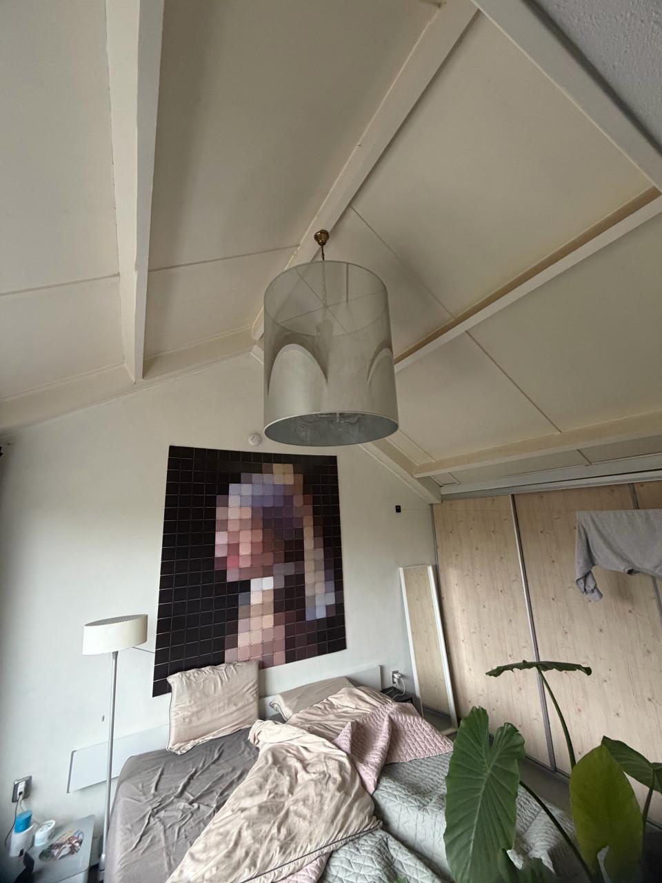 Hanglamp Moooi light shade met kroonluchter