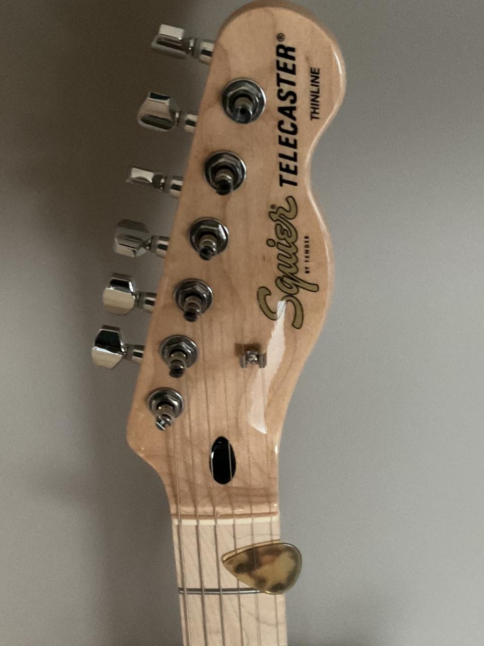 SQUIER telecaster thinline ( nieuw )