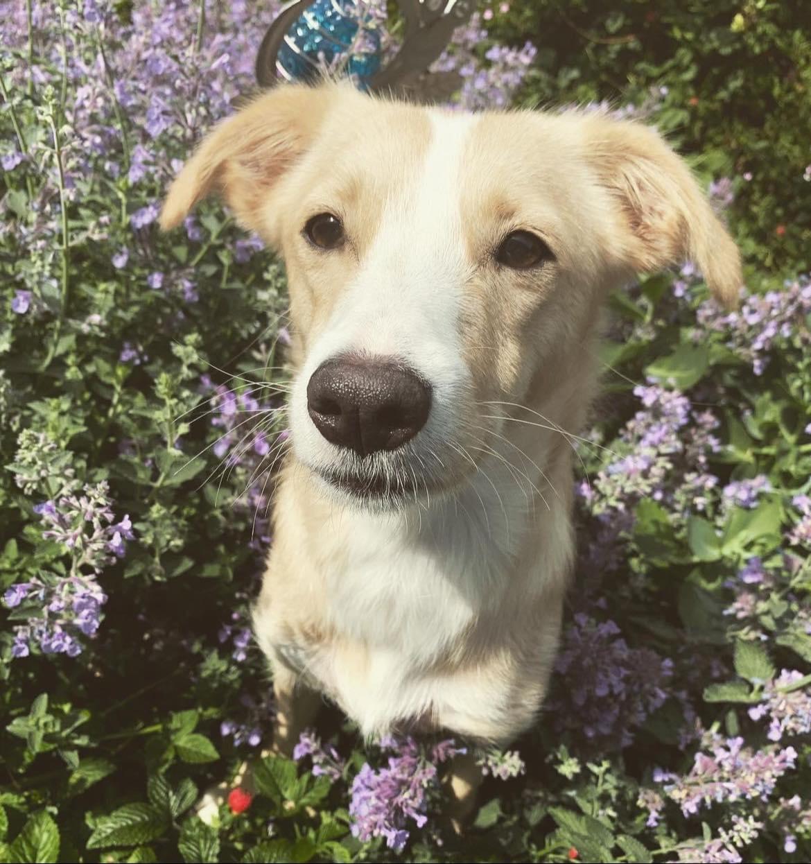 Terra zoekt een passend thuis