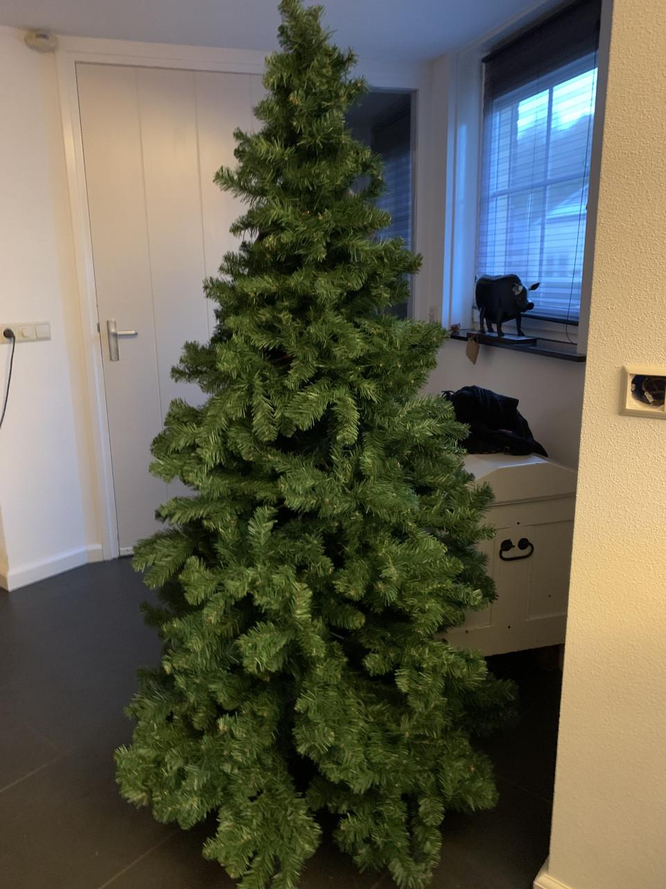 Kerstboom ong 2 meter