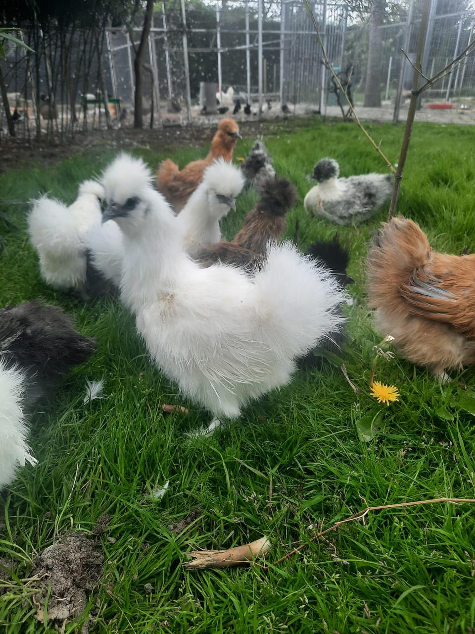 Openingstijden paasweekend