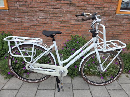 GAZELLE | BELLE ROSA 28 INCH | 56 CM | NEXUS 3