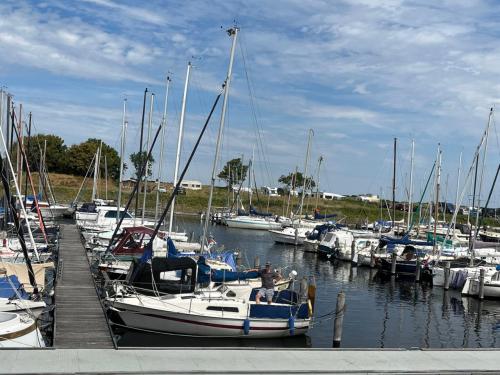 Zeilboot Jaguar 21CR