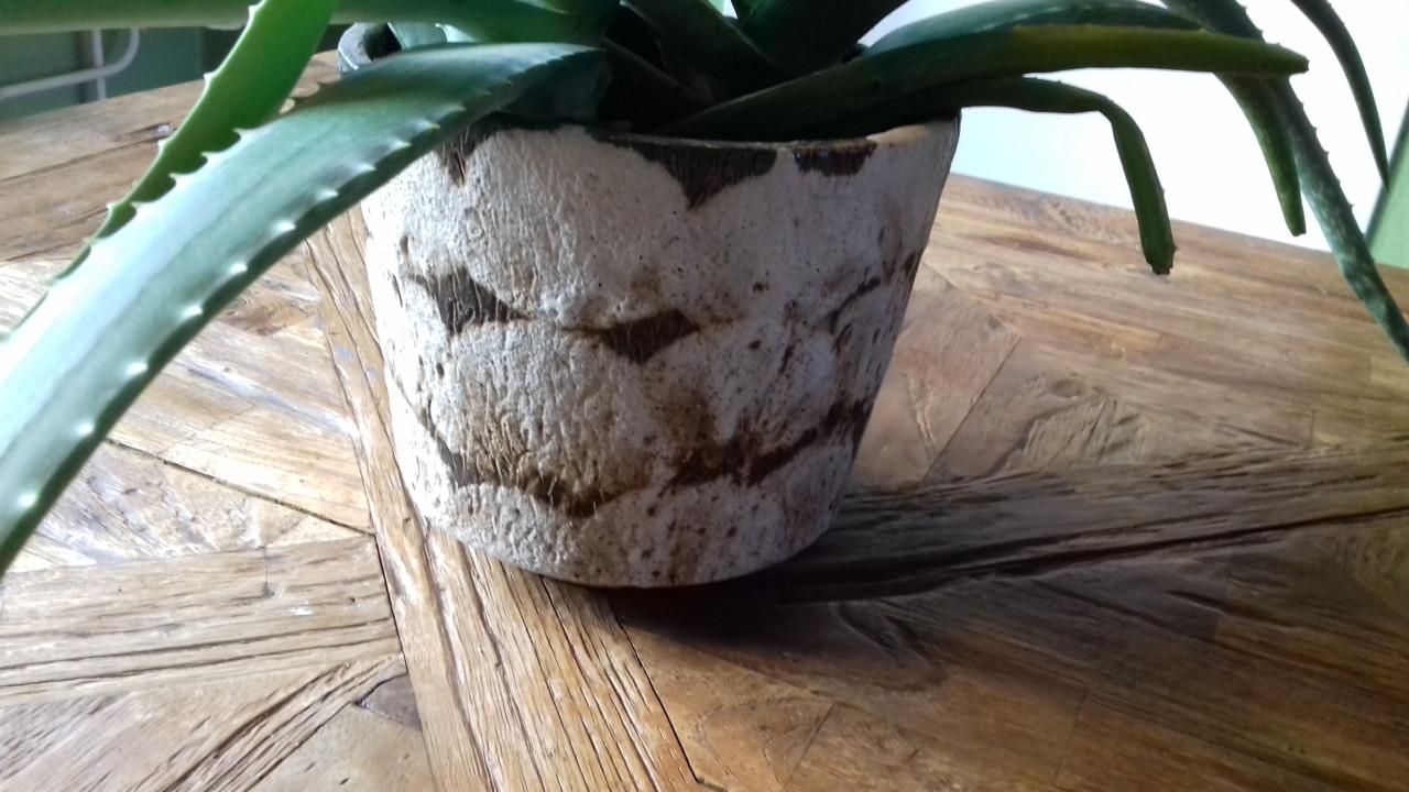 Mooie Aloë Vera plant met jaren 60 lava pot