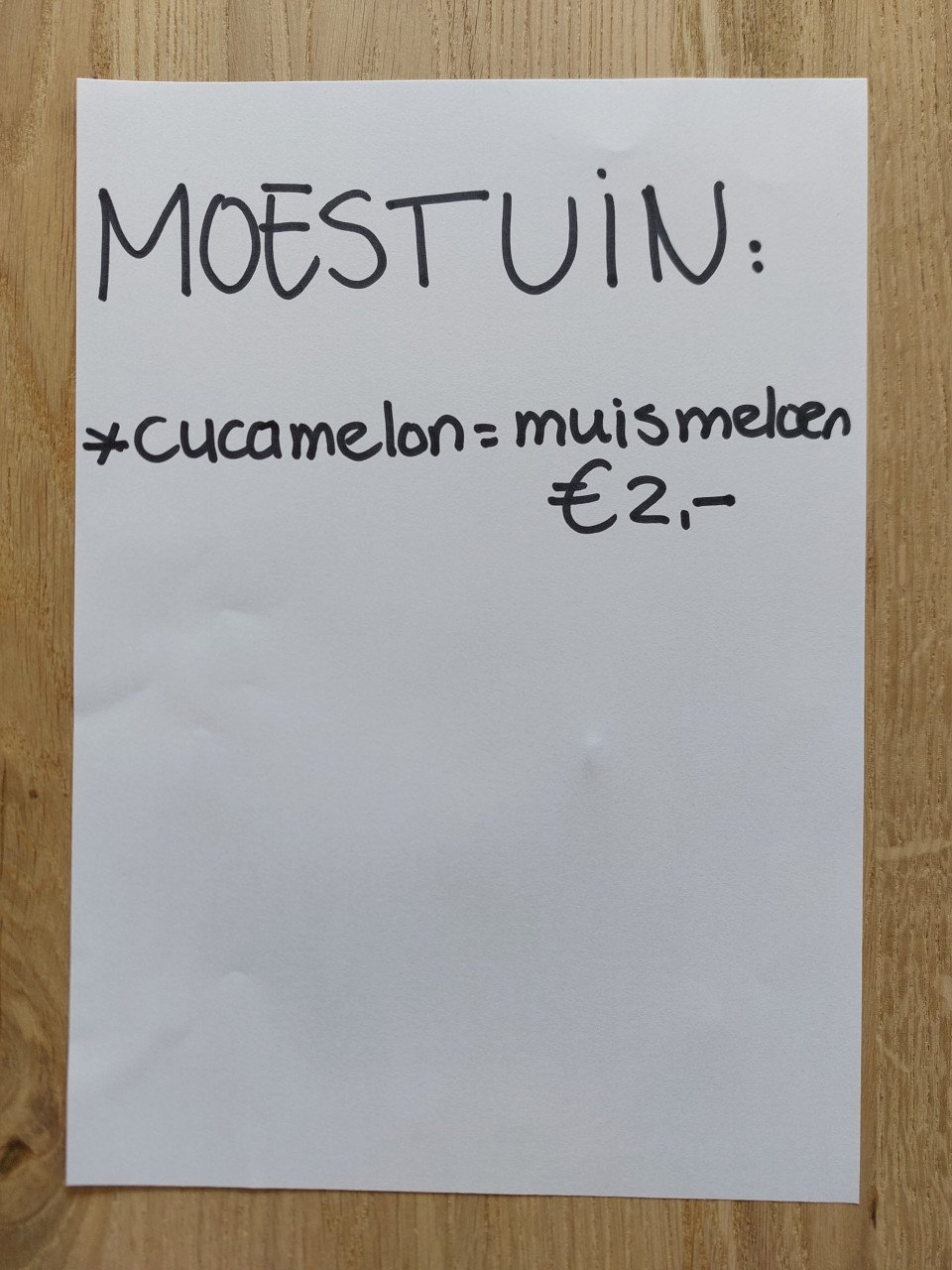 (NIEUWE!!) SIERTUIN EN MOESTUIN PLANTEN bij DE VOORDEUR