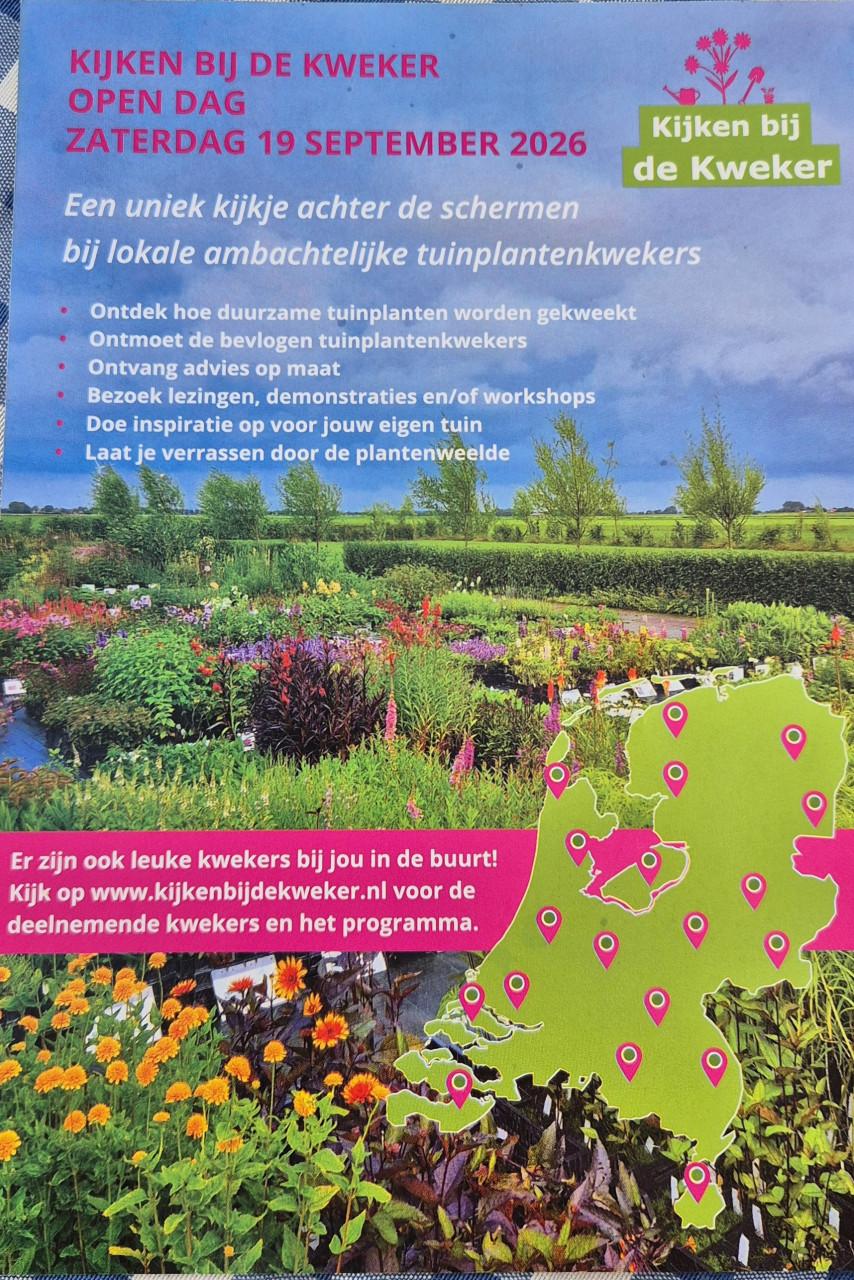 Kijken bij de kweker Joyplant Ritthem
