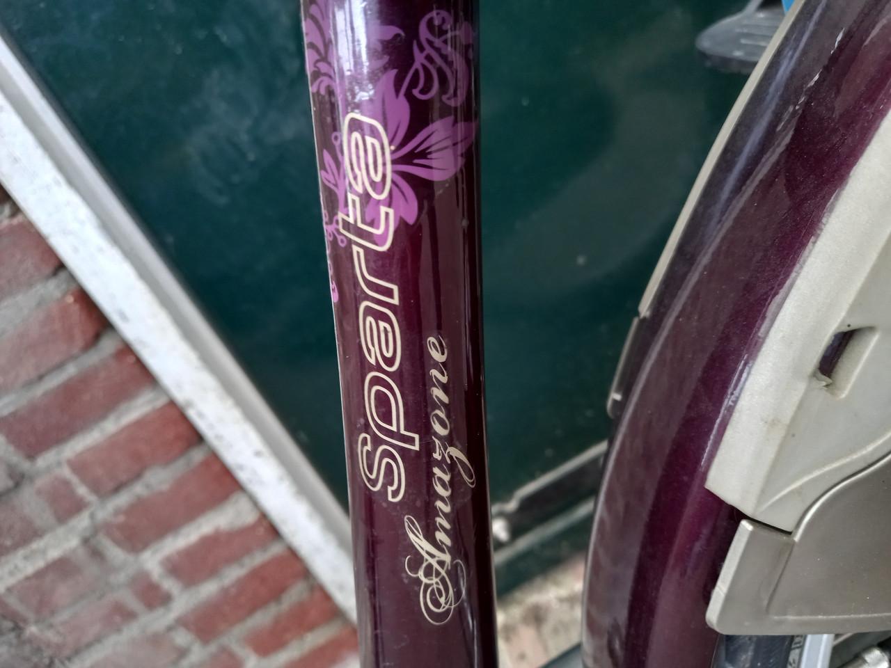 Mooie mamafiets met kinderstoeltjes voor en achter