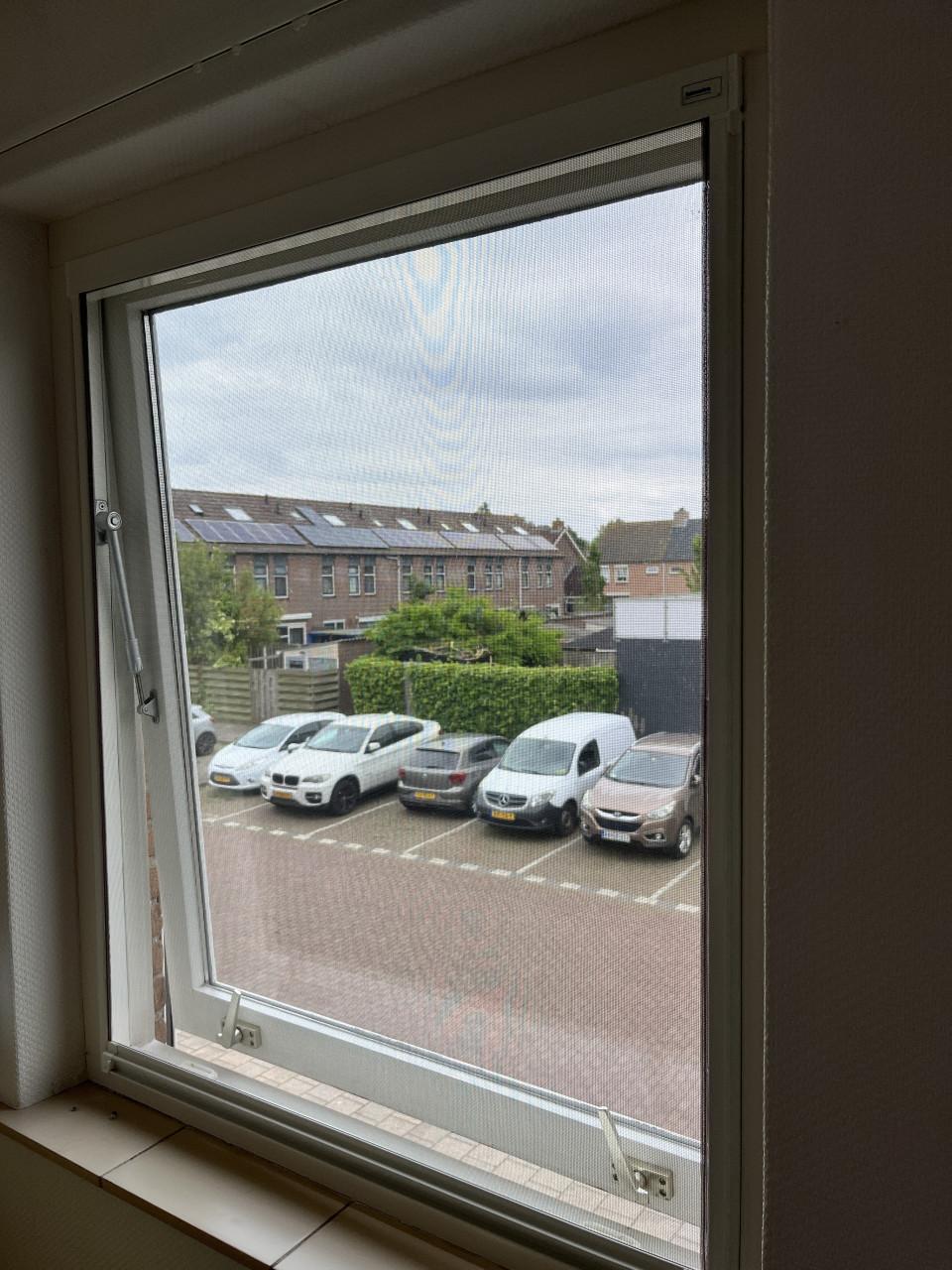 2 Hamstra Raamhorren