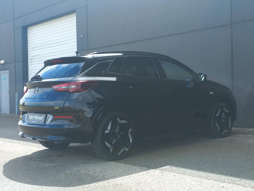 Opel Grandland 1.6 turbo plug-in hybrid 4x4 gse | climat | 19" lmv | camera