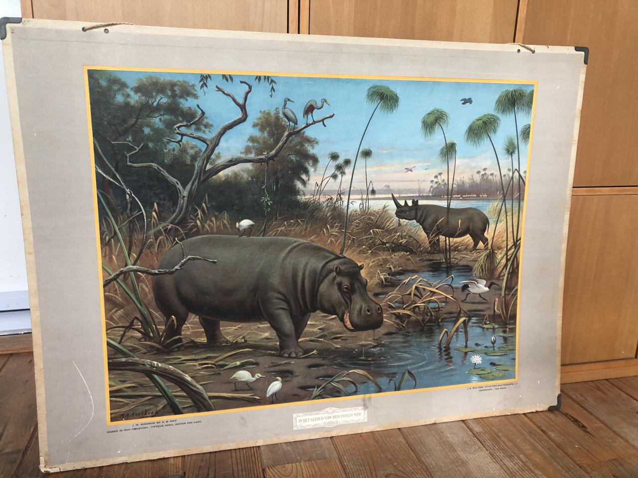 Schoolplaat "In het gebied van den BovenNijl"