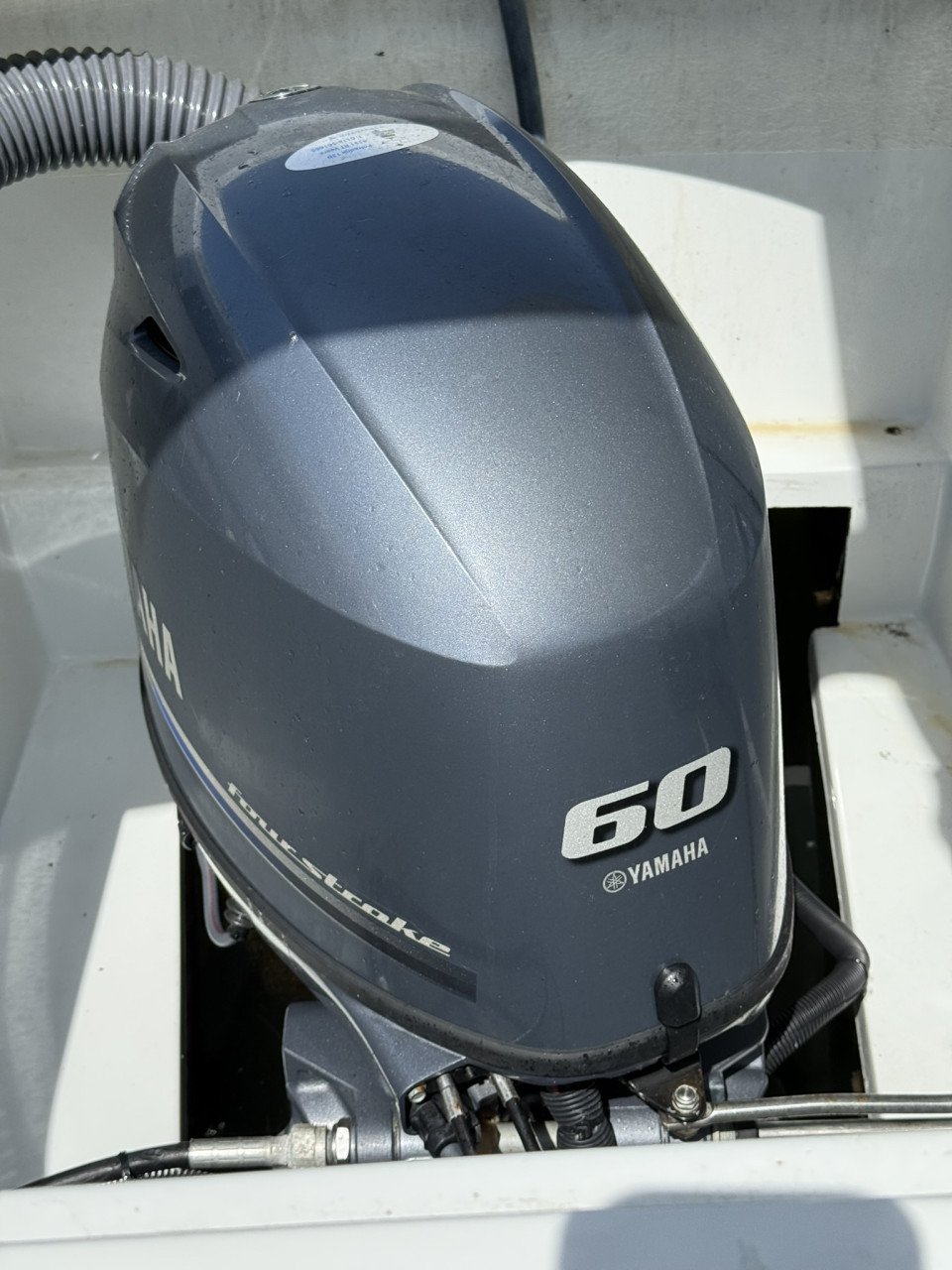Zeer mooie Corsiva Tender 690  incl. trailer en ligplaats