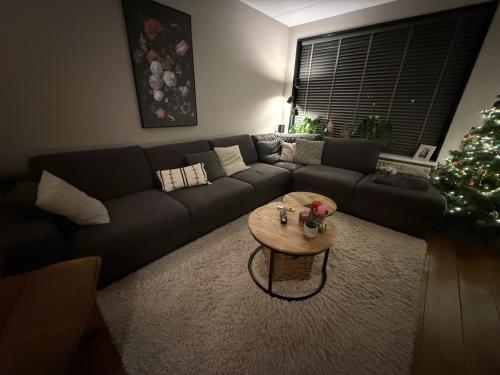 Gratis afhalen hoekbank voor 3 december (gereserveerd)