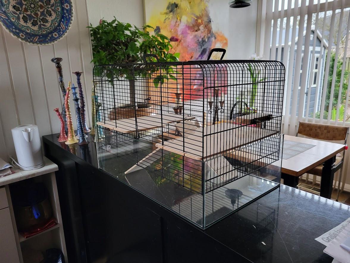 Knaagdieren/Hamsterkooi