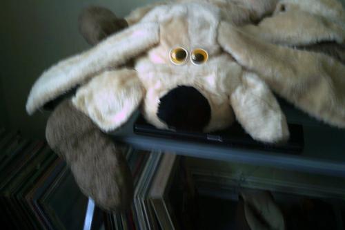 Grote NIEUWE knuffel ...