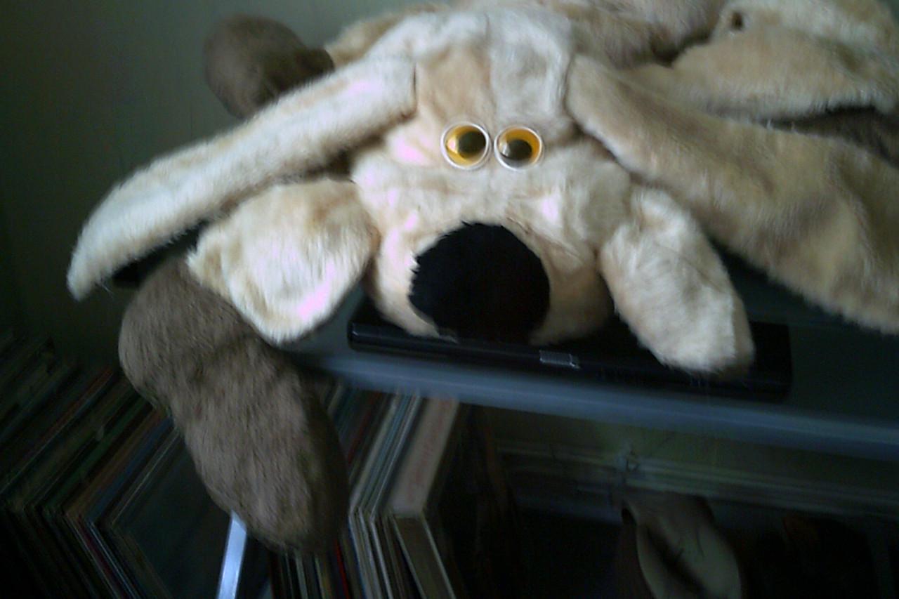 Grote NIEUWE knuffel ...