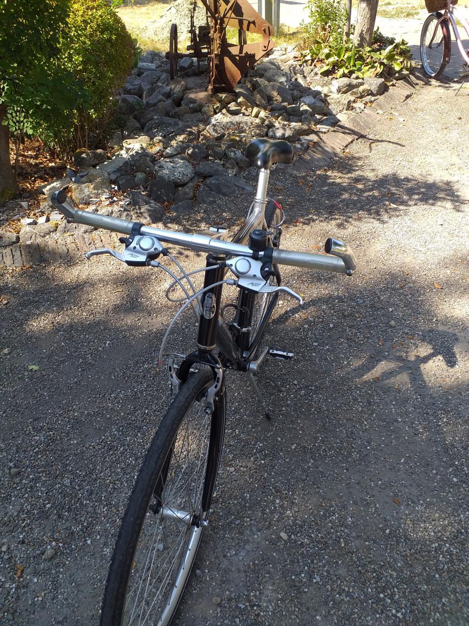 """"GAZELLE GRAVELBIKE PLAYA oversized profesional in prima staat""""