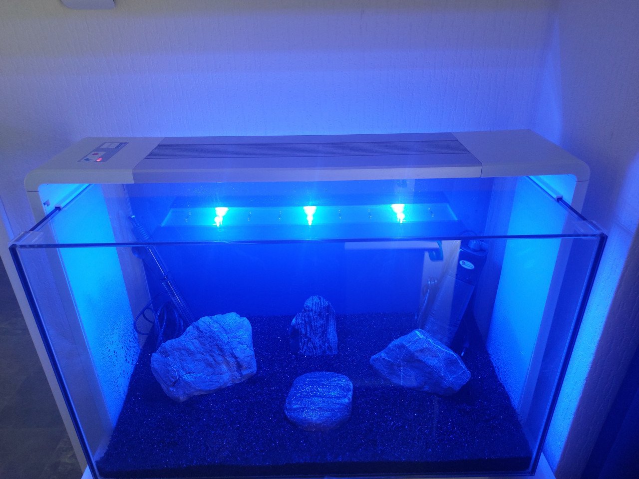 Superfish home 110 power led !!!nieuwstaat!!!