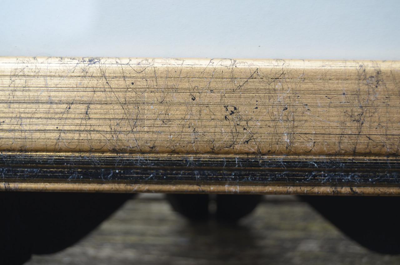 Fraaie handgekleurde litho 'Goosander' (Grote Zaagbek) 1868