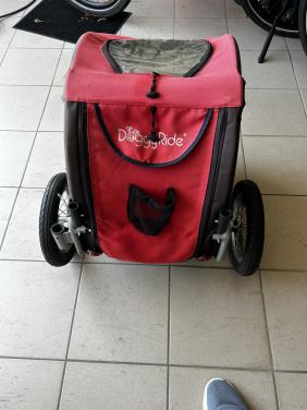 Doggyride