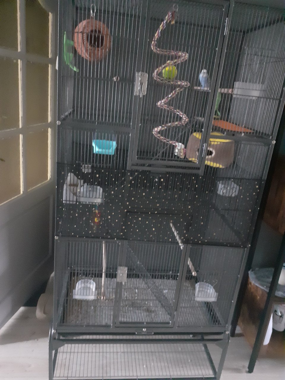 3 maanden oude grote vogelkooi