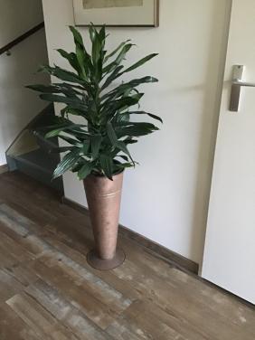 Plantenbak, koperkleurig metaal