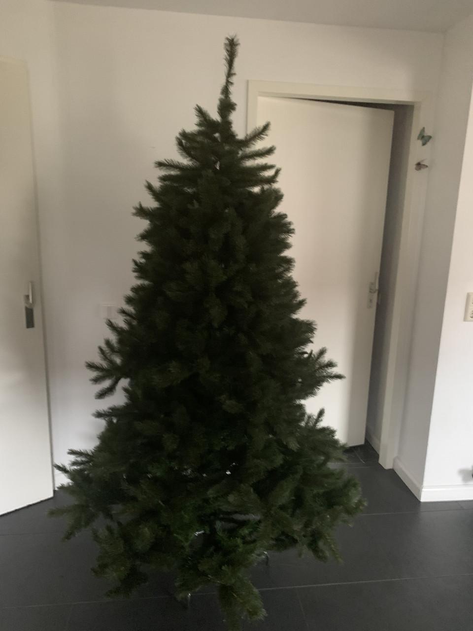Kerstboom2.30 m hoog  Triumph tree