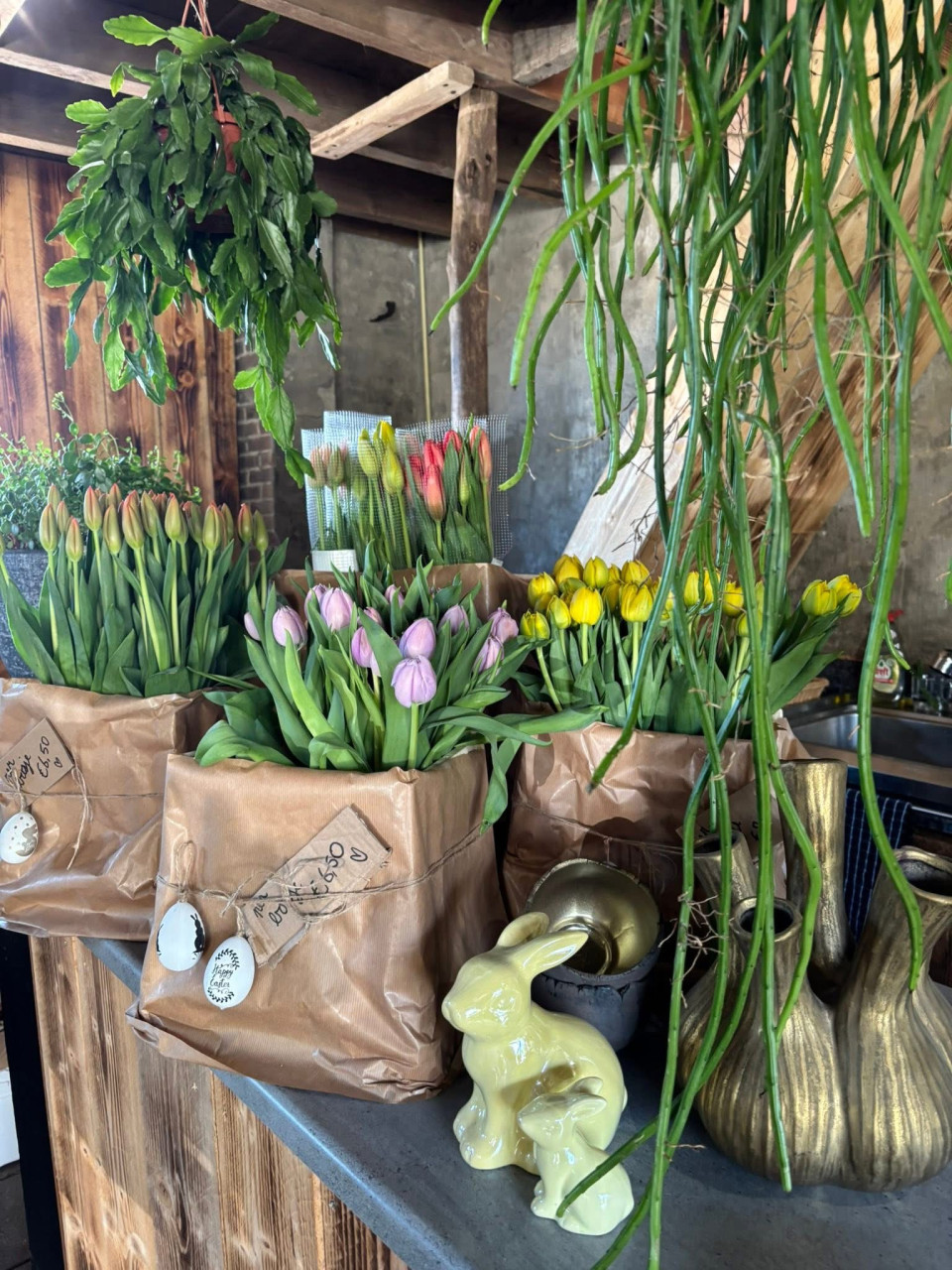 BUITENPLANTEN, SIERGRASSEN,BOMEN, BLOEIERS EN MEER ook voor binnen!