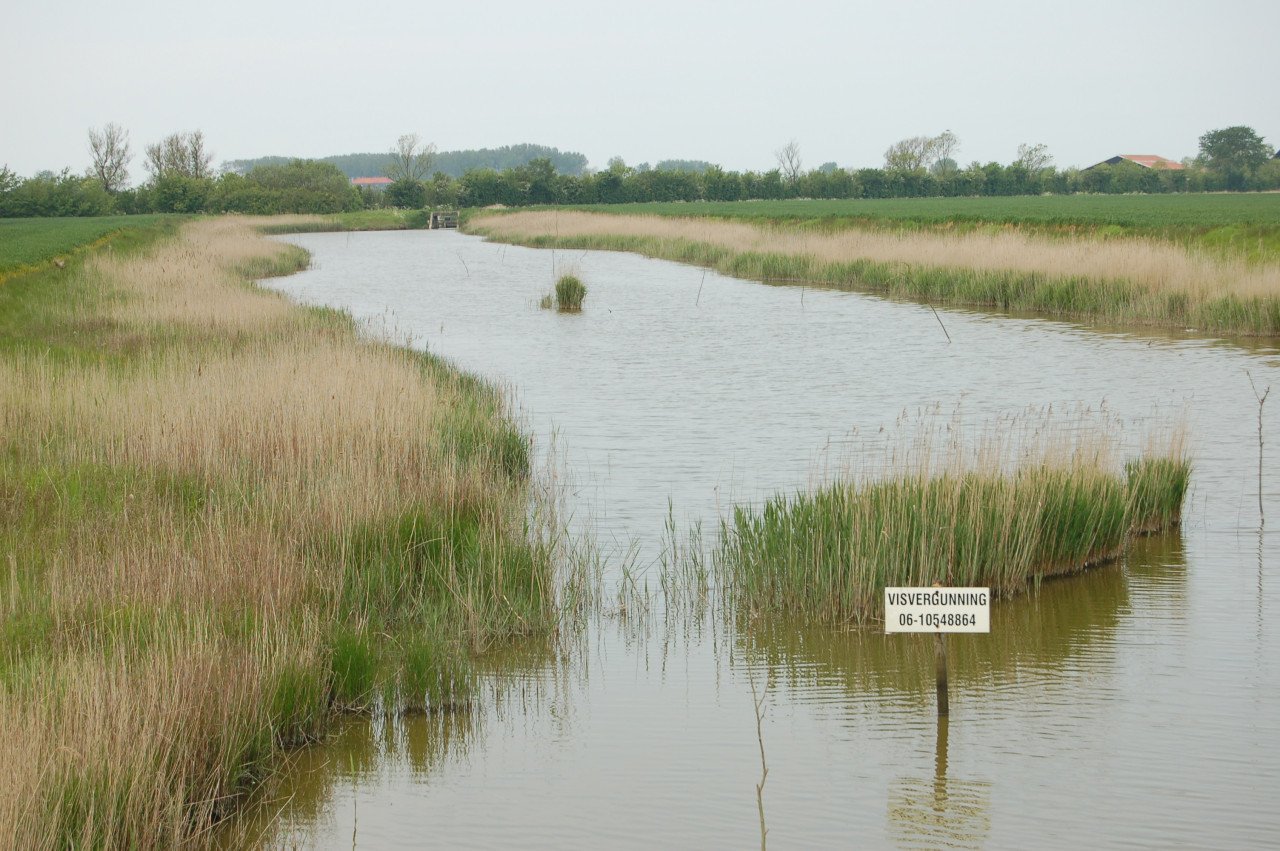 Hengelsport in Koudekerke Biggekerke Hoogelande Souburg Noord / Verdilaan