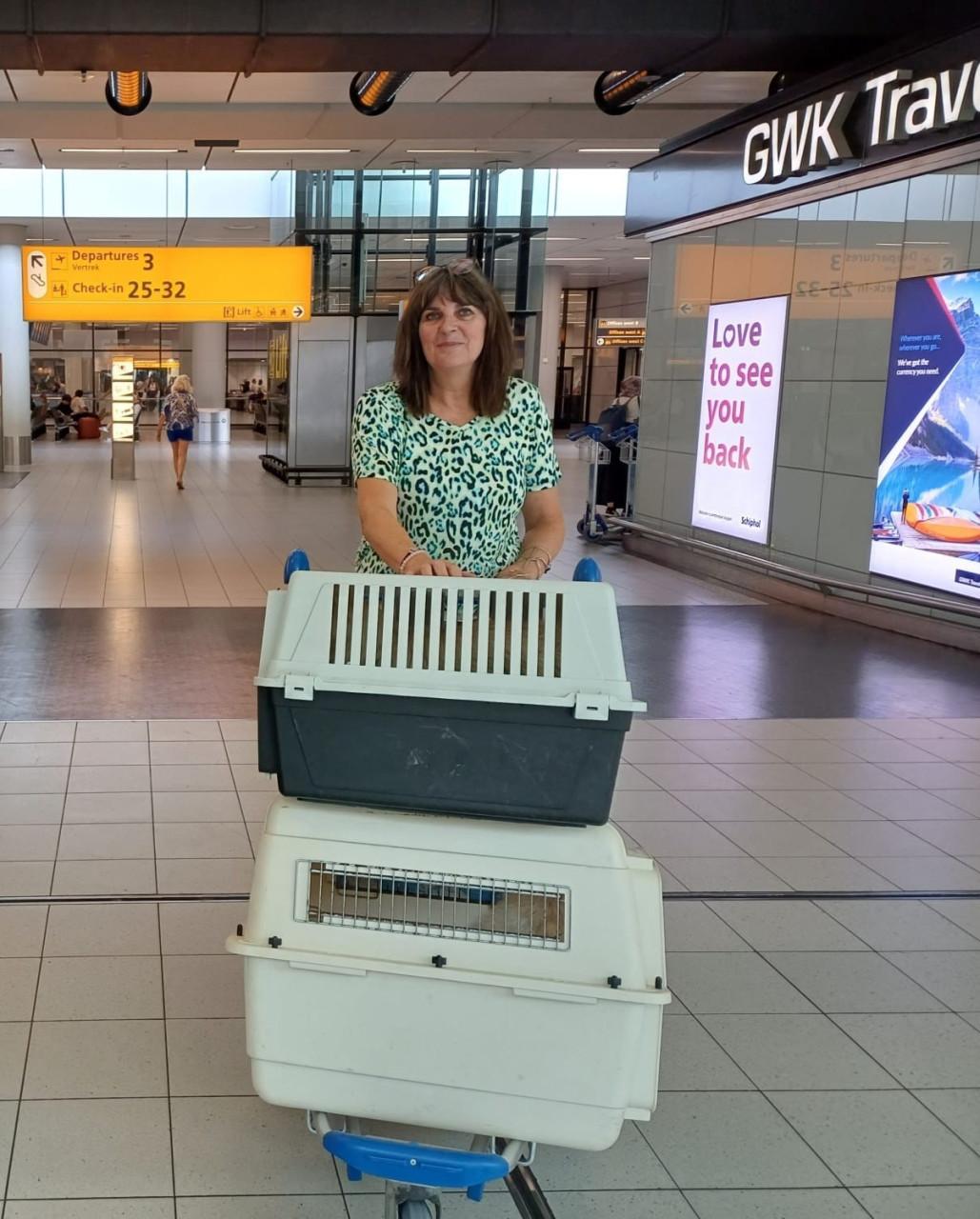 Gastgezinnen voor honden vanuit Bonaire