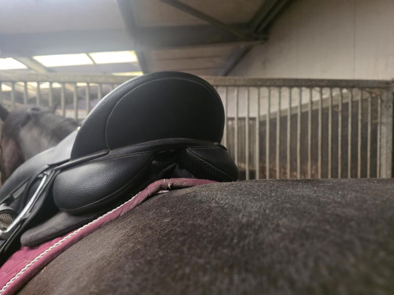 Wintec 18" veelzijdigheidszadel