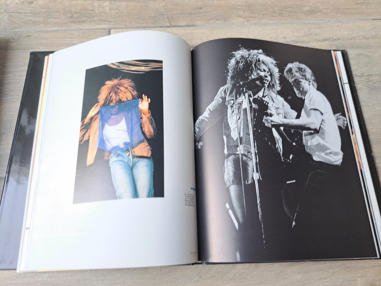Tina Turner Simply the best van Louis Du Moulin