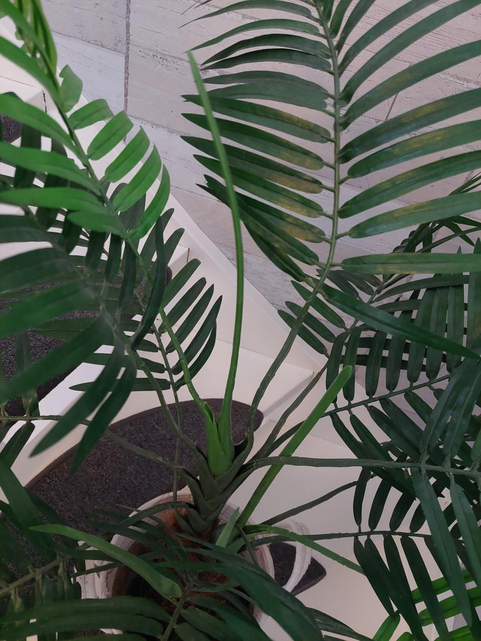 Grote kunstpalm incl. pot,  mooie kwaliteit zgan