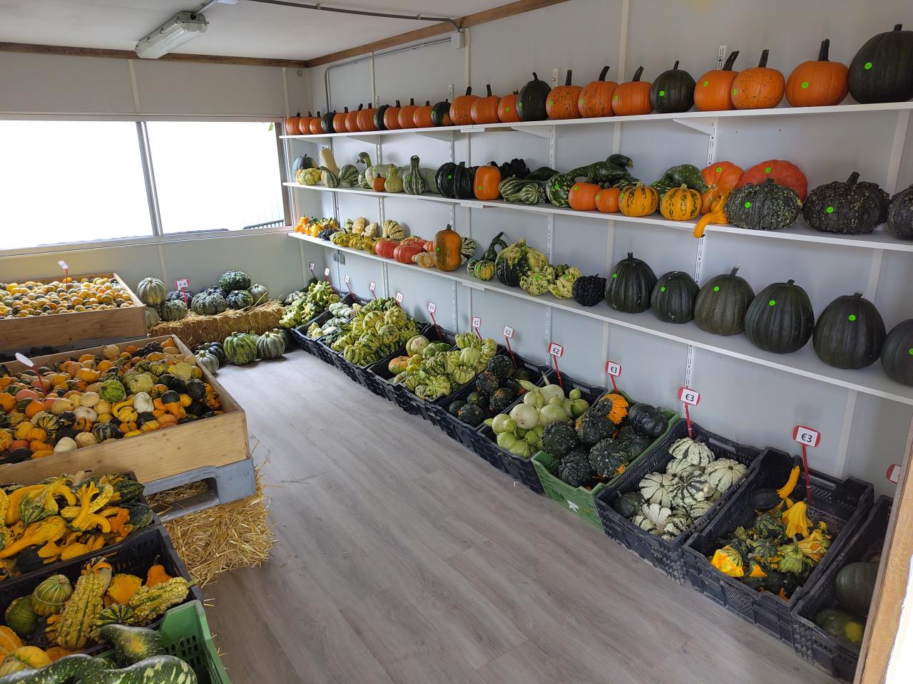 Pompoenen en kalebassen