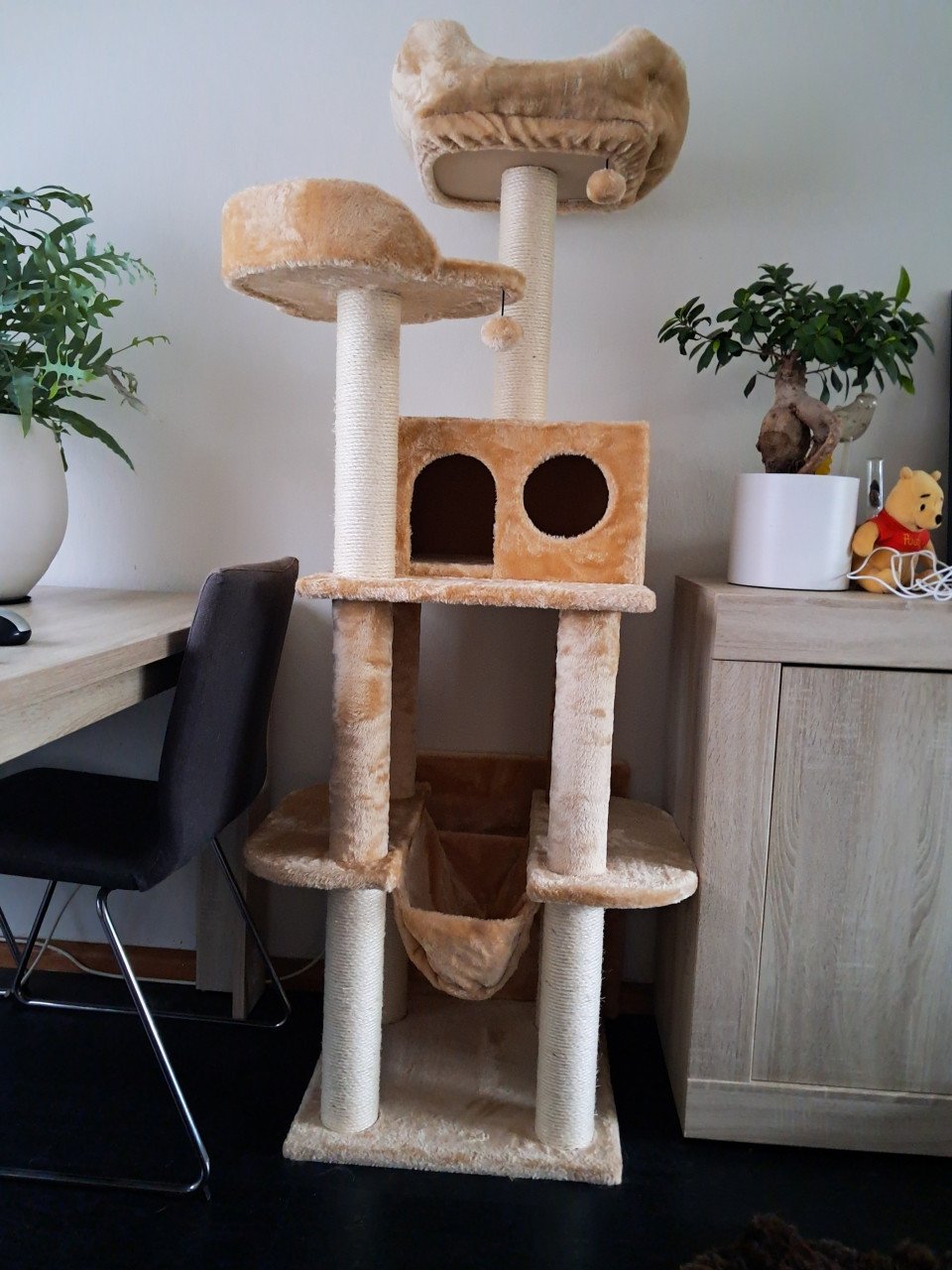 Kitten pakket