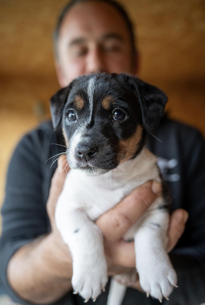 Beginnend fotografe zoekt opdrachten - zie advertentie -