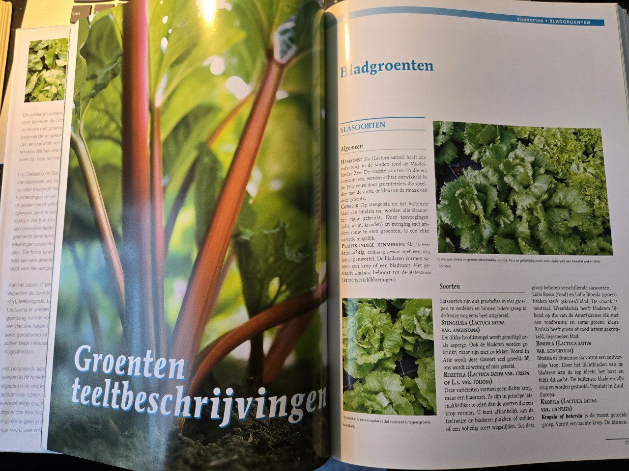 GROENTE & FRUIT ENCYCLOPEDIE Blz.405 Luc Dedeene