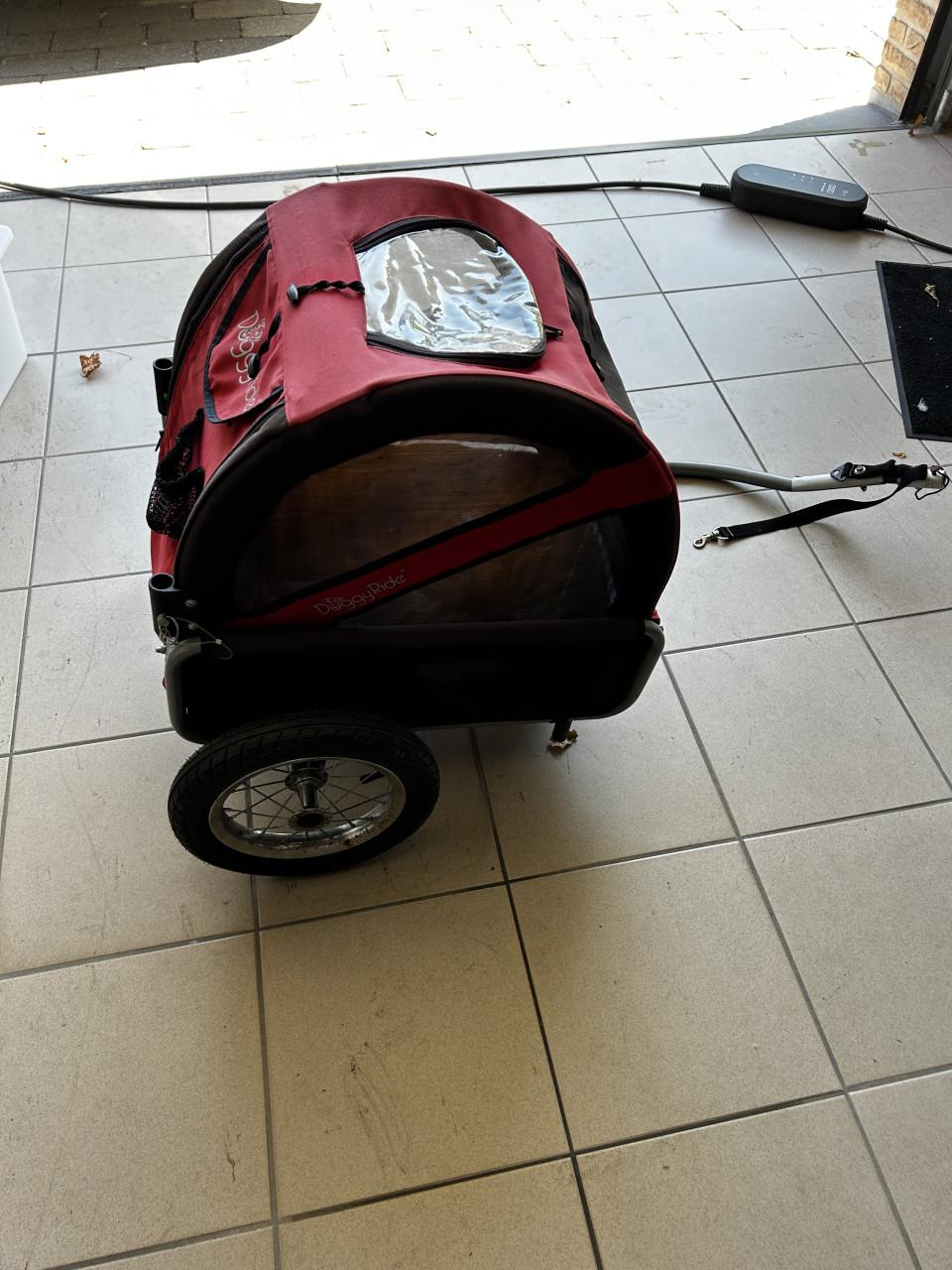 Doggyride