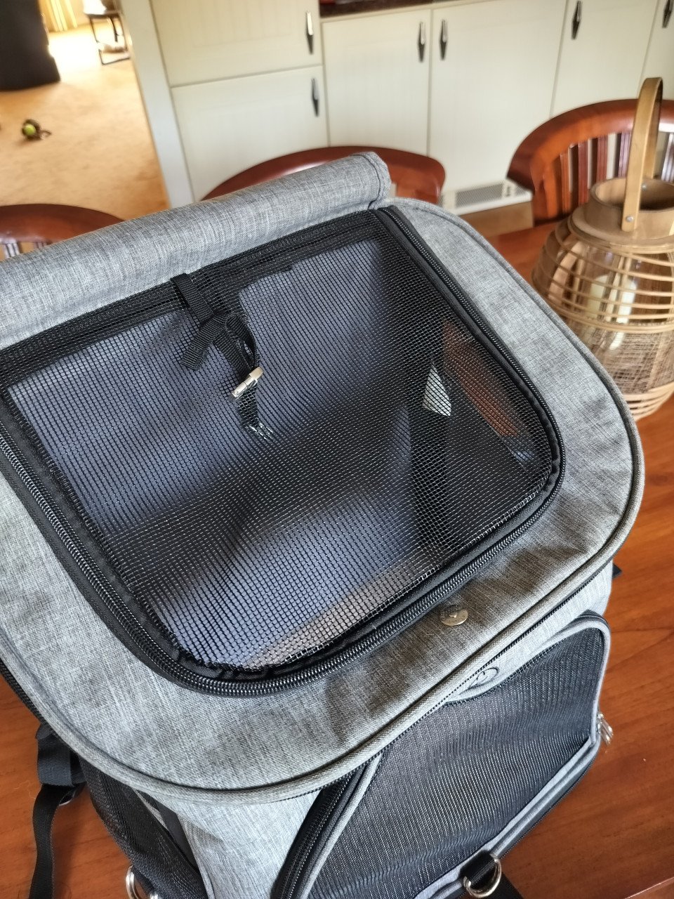 Honden rugzak (en katten) LDLC tot 8 kilo. Zo goed als nieuw.