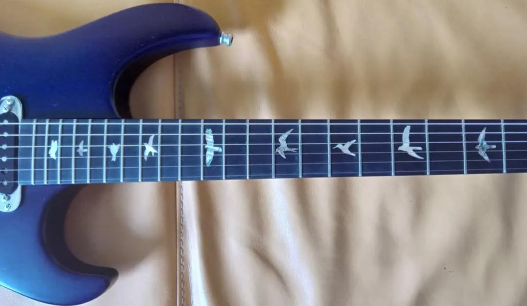 Unieke, handgebouwde Zwier gitaar