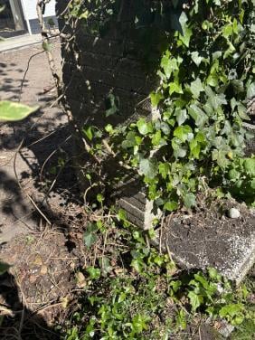 Grinttegels 40 stuks 60x40x6  Gratis