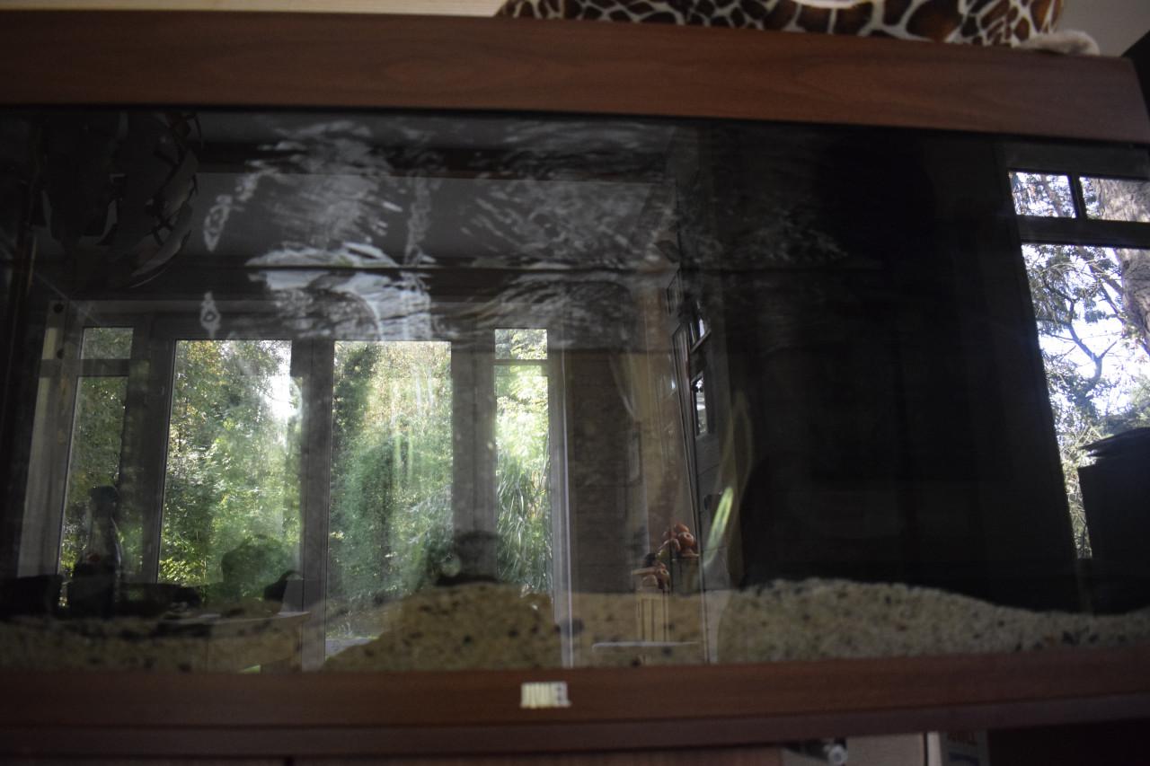 Aquarium jewel Rio plus kast
