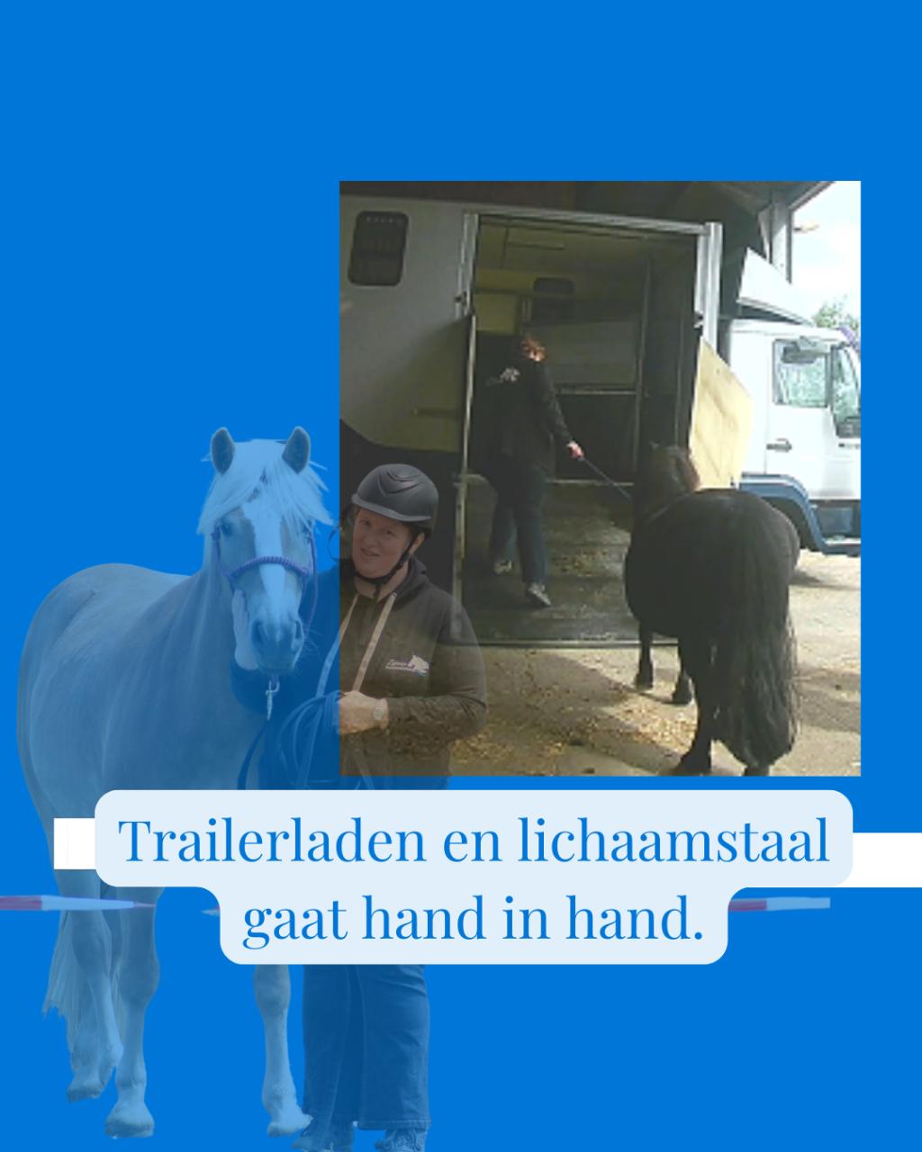 Ze vroeg om een paardentrainer, ze kreeg een coach voor zichzelf