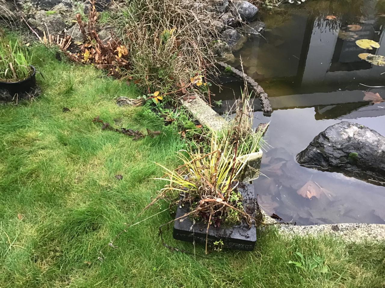 Vijverstenen, vijverplanten , kruik, etc