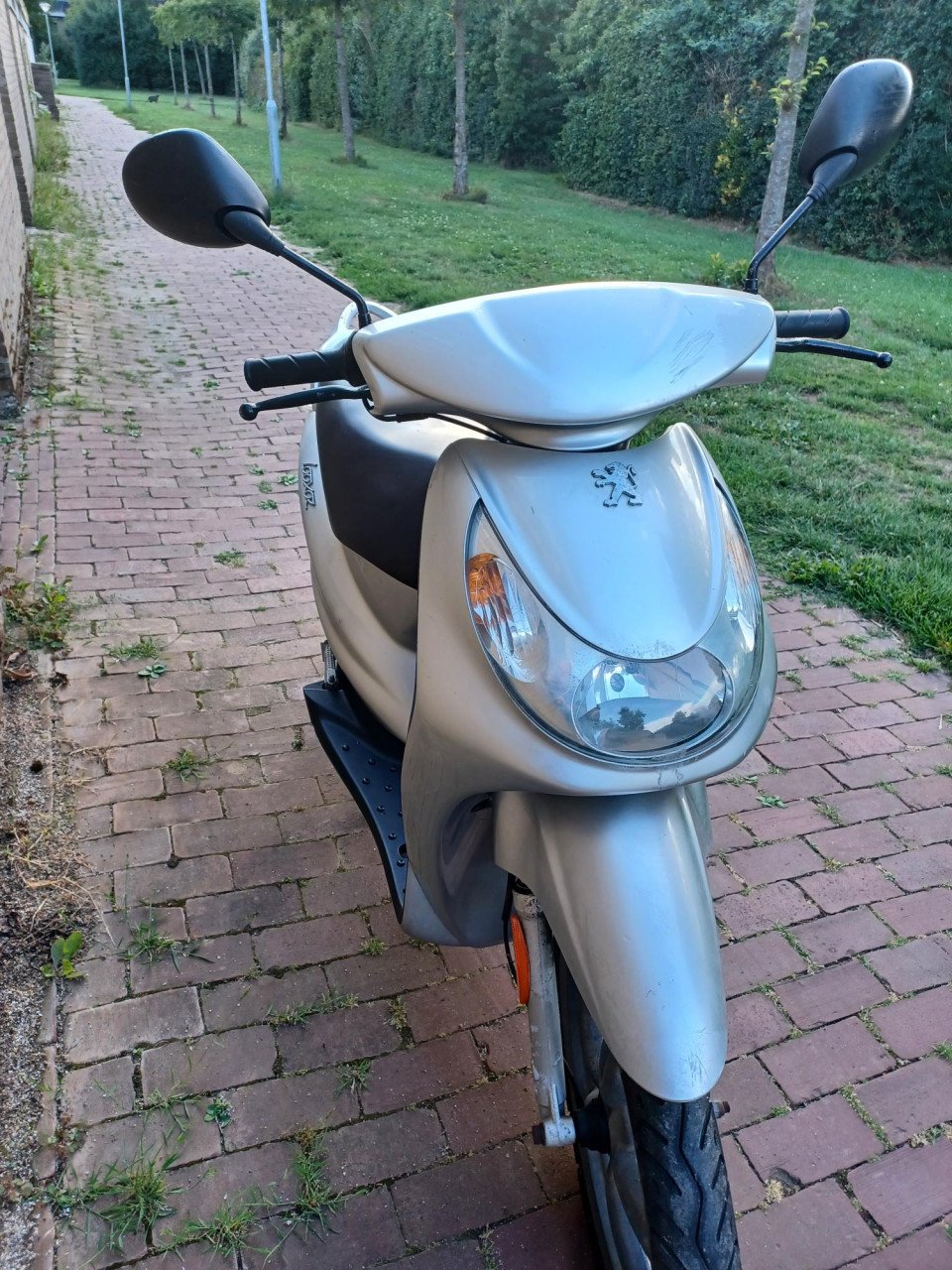 Opknap Scooter Peugeot