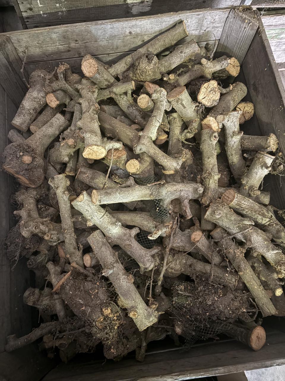 Te koop appel hout