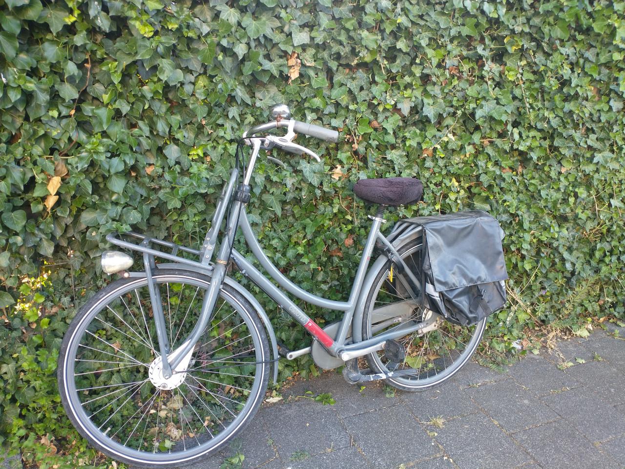 Batavus CNCTD damesfiets